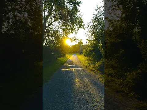 A Little Bit Of Summer To Your Feed Shorts Summer Sommer Sunrise Nature Daylight