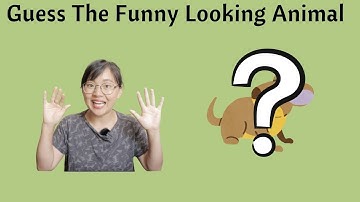 Physical parts in Chinese｜ Guess the funny looking animal｜comprehensible input｜low intermediate