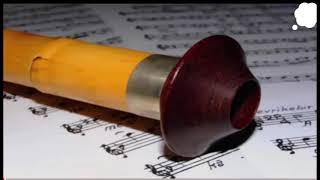 Salih Yurttaş Ney Taksimi (Segah)