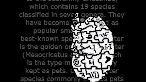 How to Find "Chomnipedia" In Find the Chomiks