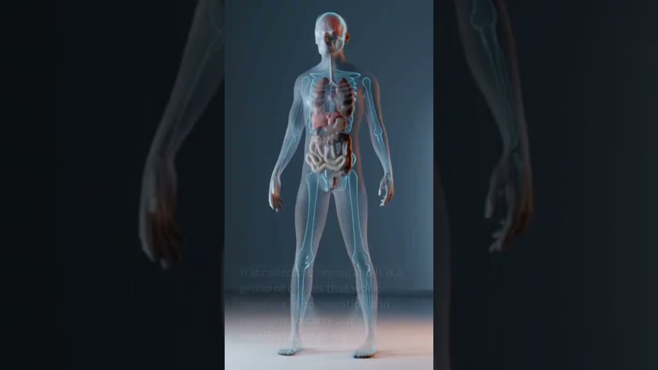The human body consi