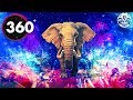 360 Elephant Space Walk Video - Mind Chill - 10 Minute Chill Out Music Mix