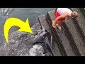 This Boy Was Standing On The Water’s Edge When He Suddenly Felt Something Splash At His Feet