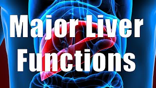 Major Liver Functions (Nutrition 101, DiTuro Productions, LLC)