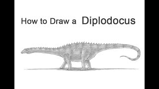 How to Draw a Diplodocus Dinosaur screenshot 3