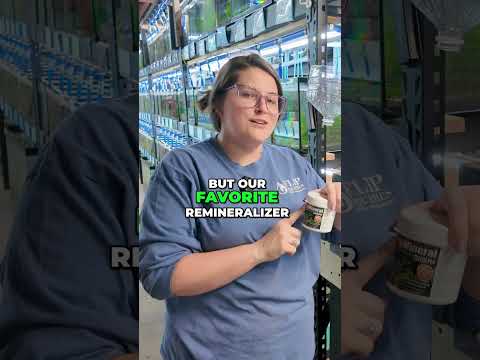 Caridina Shrimp Care: Essential Water & Substrate Guide #shorts