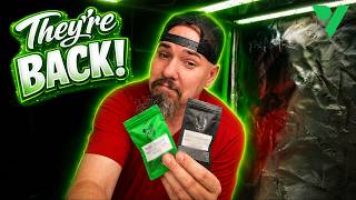 I CAN NOT believe I found THESE!  |  Vivosun Grow Tent Pro