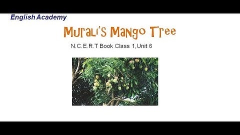 Muralis MangoTree  CBSE English Class1 Lesson 6