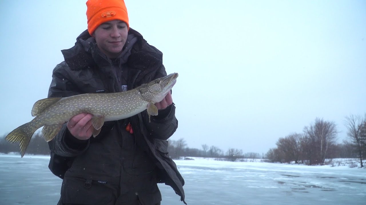 WATCH Waddington slushy ice fishing on the St. Lawrence River YouTube