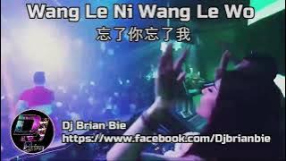 Wang Le Ni Wang Le Wo 忘了你忘了我 Remix By Dj Brian Bie Tiktok Song Hot
