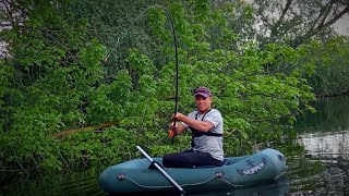 СЛОНИ В КОРЯЖНИКУ РВУТЬ СНАСТІ. Рибалка на боковий кивок