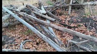 Interior British Columbia  Sasquatch structures.