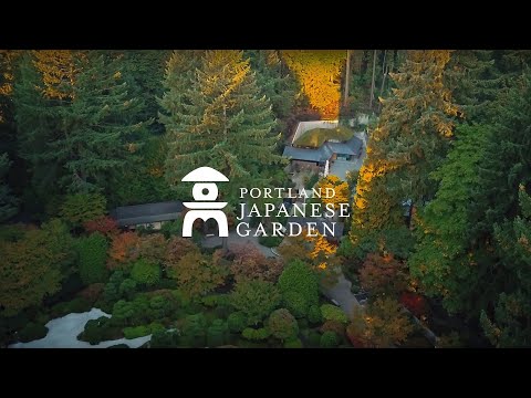 Come To Understand Welcome To Portland Japanese Garden Youtube