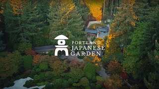 Come to Understand: Welcome to Portland Japanese Garden