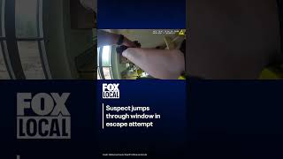 Suspected thief jumps through window to escape deputy