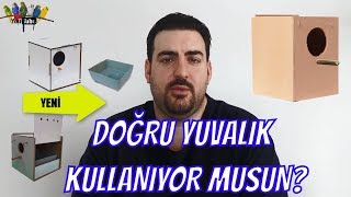 Doğru Yuvalik Seçi̇mi̇ Nasil Yapilir?