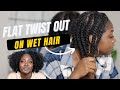 Flat Twist Out on Wet Curly Hair | Comparing Mousses