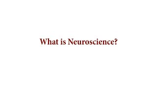 What is Neuroscience?
