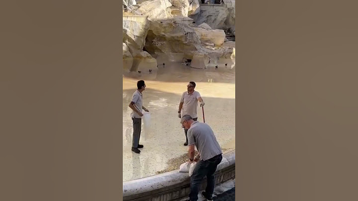 Che fine fanno i soldi che buttiamo nella Fontana di Trevi??