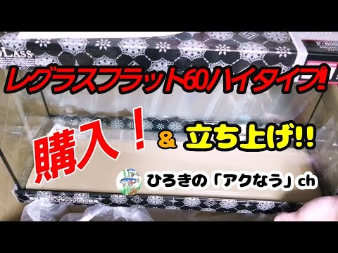 60cmハイタイプスリム型水槽 寿工芸 コトブキ レグラスフラットf 600sh B購入 立ち上げ 水草水槽 Youtube