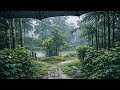 Rain Walk in Assam Village 🌧️ | Monsoon Nature Sounds (4K ASMR)