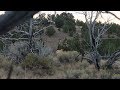 BULL ELK IN OPEN COUNTRY - EP 31 - LAND OF THE FREE