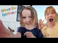 PET BUGS for NiKO&#39;s 5th BiRTHDAY!!  Baby Stick Bug Pets and a fun Minecraft in real life bday party