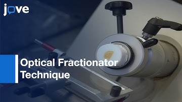 Optical Fractionator Technique to Estimate Cell Numbers | Protocol Preview
