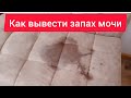 Как вывести пятна и запах мочи с дивана