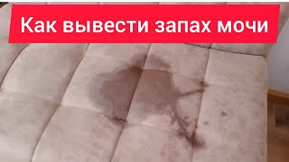 Как вывести пятна и запах мочи с дивана