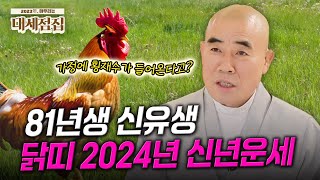 닭띠운세81년생 신유생 닭띠 2024년 상반기 운세 알려드립니다!❣️