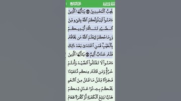 الآية 94 من سورة المائدة تلاوة خاشعة