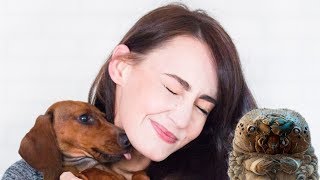 Любишь целовать собачку - готовься отгребать по полной! Любишь целовать собачку - готовься отгребать по полной!