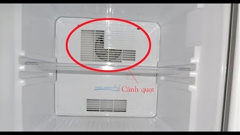 Tiếng Kêu Trong Tủ Lạnh Như Thế Nào thì Cần gọi Thợ Sửa Chữa? Tránh Mất Tiền!