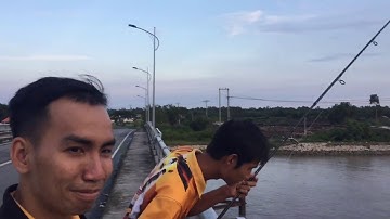 Câu cá Cần Giờ bằng hà lá siêu nhạy dính toàn cá út#  fishing in the big river