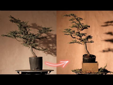 bambus zahnbecher Bambus-Zahnbürste – truemorrow