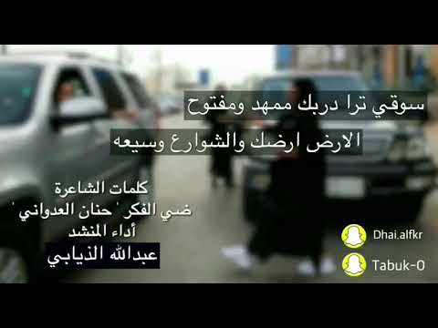 شيلة سوقي وكلنامعك