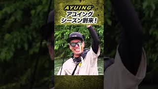 アユイングシーズン到来【暑い夏でも超涼しい快適フィッシング】#shorts