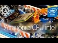 📝 [F.A.Q] Как установить процессор Intel правильно -/- How to install CPU Intel