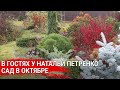 В гостях у Натальи Петренко - сад в октябре