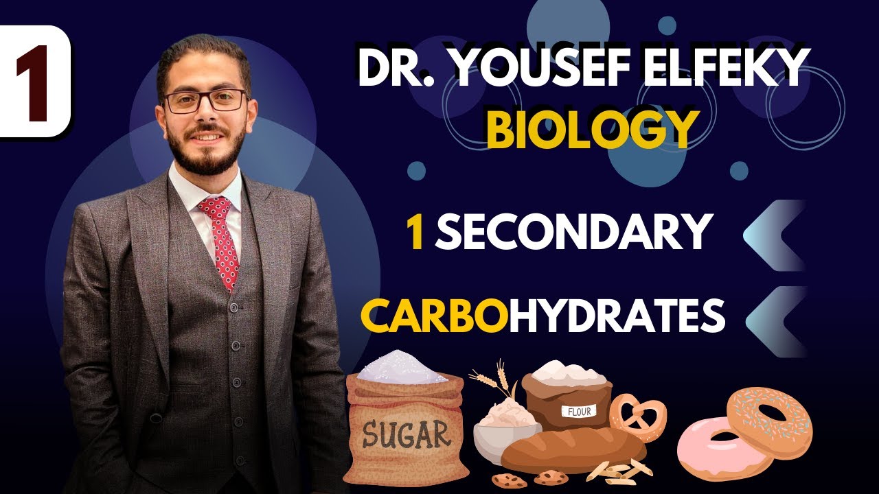 lecture 1 - part 3 - carbohydrates - YouTube