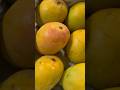 Only Real Mango Lovers Will Understand 🥭❤️ #ytshorts #shorts #viral #mango #subscribe