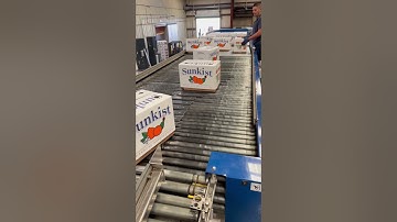 Automated high speed paletizer @packlinetech #agriculturetechnology