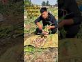 CINA KUASAI PASAR #BawangPutihCina #PertanianCina #TeknologiPertanian
