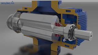Molino Blower Animation English V.001 - Roots Pumps