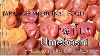 How to Make Umeboshi at Home