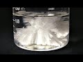 Supersaturated Sodium Acetate Crystallization