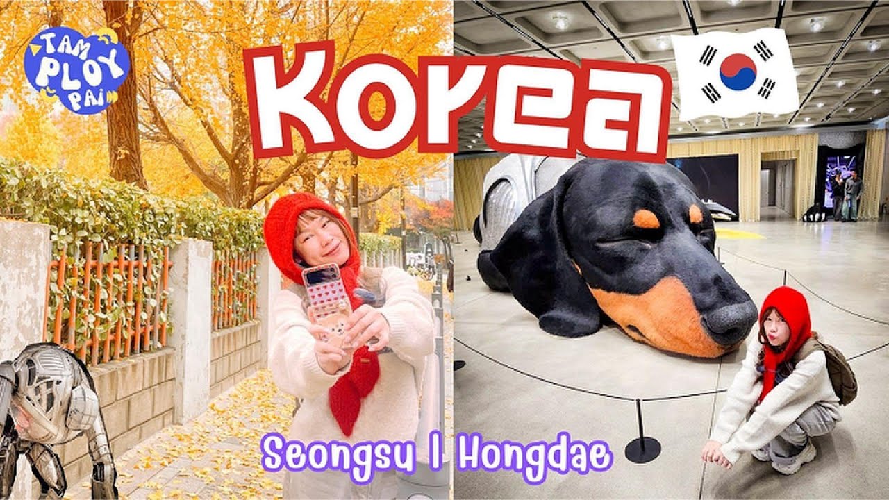 เกาหลีวันสุดท้าย | Haus Nowhere Seongsu 🍂 • COEX • ฮงแด