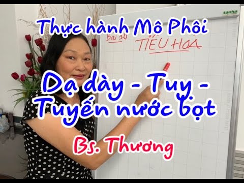 Video: Các Khối U Của Hệ Thống Tiêu Hóa ở Chồn Sương