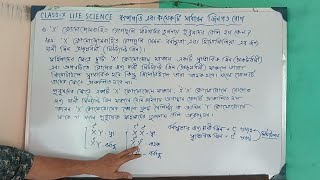Heredity and some common genetic diseases class X life science 